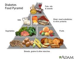 the Food Guide Pyramid