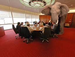 Elephant in the room
