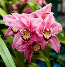 Click to visit the original post