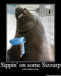 Sippin on some Sizzurp