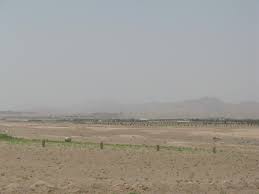 استاد معماری دانشگاه بیرجند تصوير با اندازه اصلي