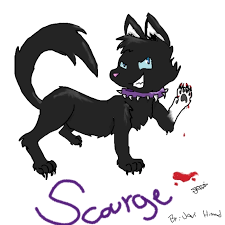 warrior cat scourge
