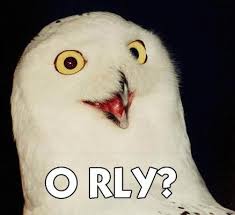 O RLY owl