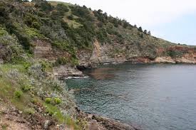 Santa Cruz Island