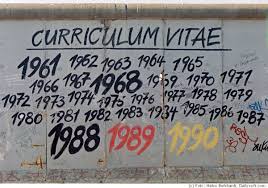 curriculum vitae