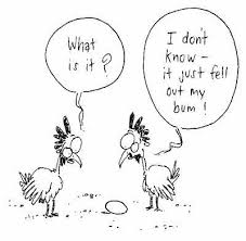 funny cartoons pictures