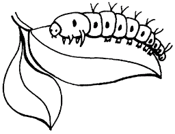 caterpillar coloring sheet