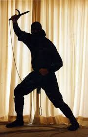 ninja pictures