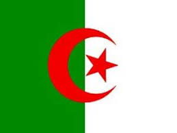 بث مباشر لمباراة الجزائر ونيجيريا لتحديد المركزين الثالث والرابع فى بطولة الأمم الافريقية بأنجولا 290888