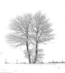 Warmte en kou