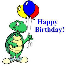 birthday_turtle.jpg&t=1