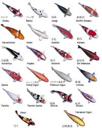 types of fish pictures