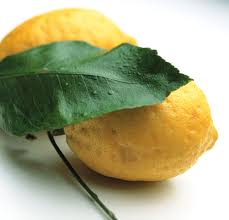 http://t2.gstatic.com/images?q=tbn:rV_Kv47BsgVaJM:http://www.mon-aromatherapie.com/wp-content/uploads/ess_citron.gif