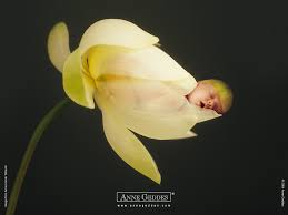 FlowerBaby02_1024.jpg
