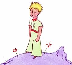 http://t2.gstatic.com/images?q=tbn:rf36OBlBM-l8bM:isoc.org/wp/ispcolumn/files/2003/03/PetitPrince.jpg