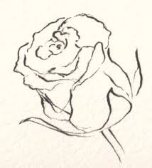 drawing flowers
