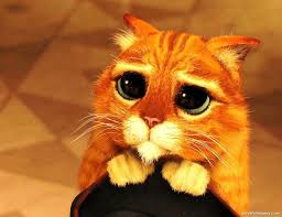 Puss in Boots Shrek wallpaper
