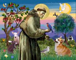 saint francis of assisi