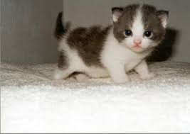 檢視完整大小圖片