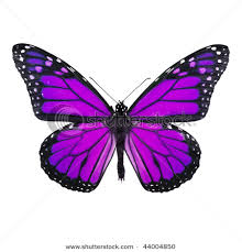 purple butterfly clip art