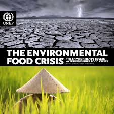 The Environmental