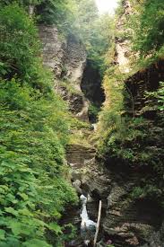 Watkins Glen State Park