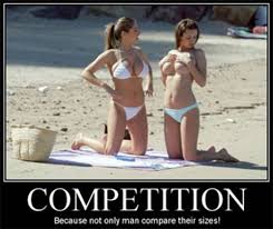 funny videos