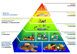 food guide pyramid