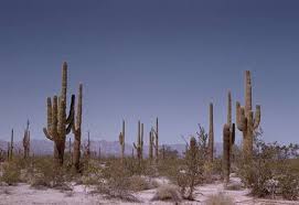 Arizona Gold Prospecting