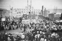 فرنگ و فرنگی مابی تصوير با اندازه اصلي