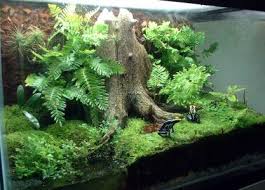 vivarium