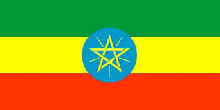 http://t2.gstatic.com/images?q=tbn:tyESdKrcx3TJ_M:www.pascalfauchard.com/wp-content/uploads/drapeau_ethiopie.jpg
