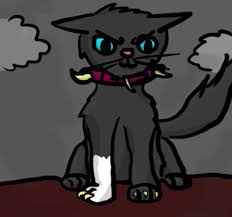 warrior cat scourge