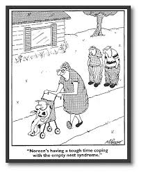 empty nest