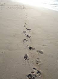 footsteps poem