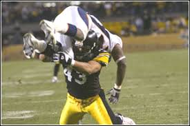 Troy Polamalu