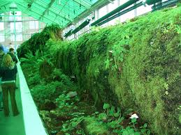 vivarium