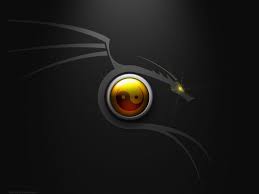 3D Yin Yang