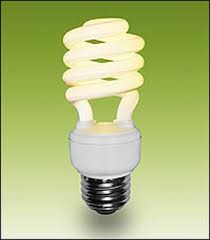 2 free fluorescent light bulbs- new link Cfl_bulb_mercury3