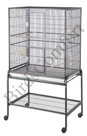 love bird cages