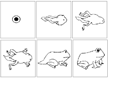 printable flashcards for preschoolers