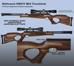 custom air rifles