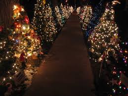 christmas lights
