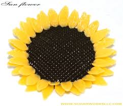 large sunflower pictures