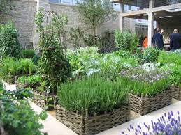 small garden pictures