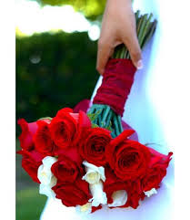 red white roses