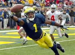 braylon edwards