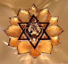 lotus flower petals