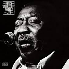 muddy waters mannish boy