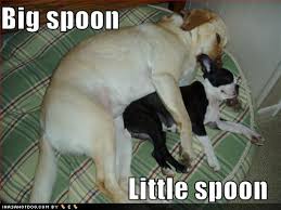 funny one liner jokes